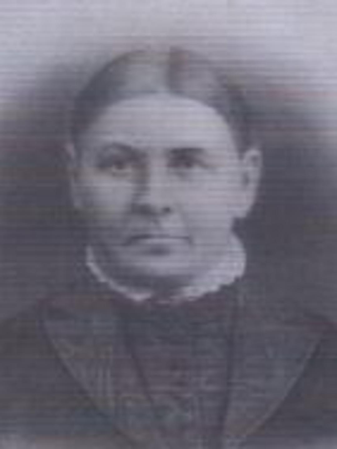 Hannah Ormandy (1836 - 1898) Profile